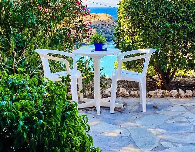 Marfo * 巴特斯欧