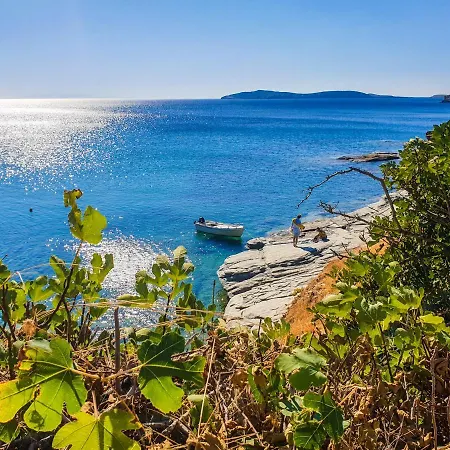 Apartment Marfo Batsi (Andros)